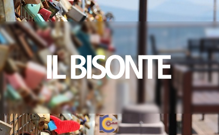 イルビゾンテ(IL BISONTE)のキーケース