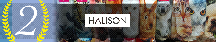 第２位：ハリソン(HALISON)の靴下