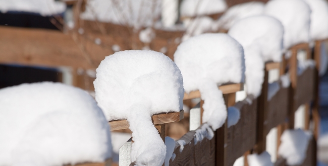 雪の日 ベルト